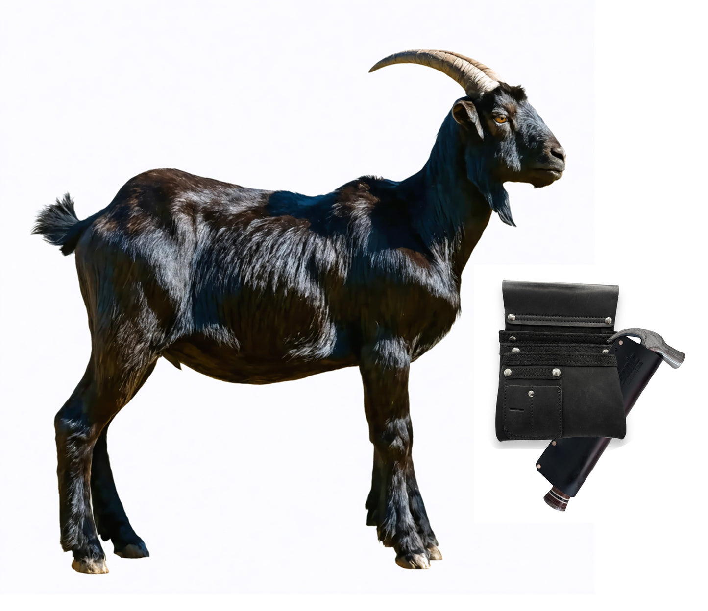 Hammer Sheath - The GOAT